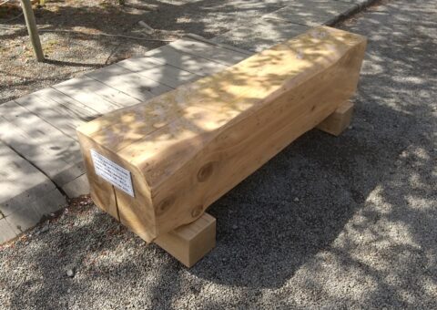 #18 ヒマラヤスギベンチ設置（続報）