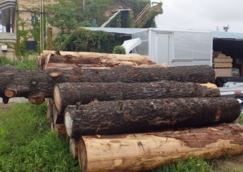 #13 ヒマラヤスギでベンチ作成