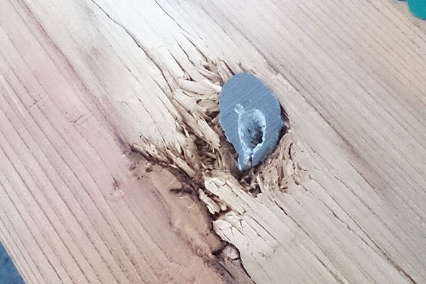 文化財工事 戊辰戦争 弾丸 被弾した杉